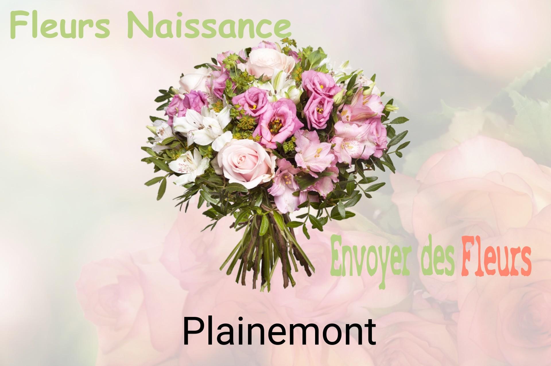 Bouquet de fleurs de naissance livré à Plainemont